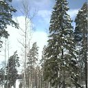 ���� ����, �����-��������� - ��������� 4 ��� 2011 � ������ ������.������.�