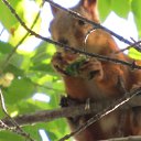 ���� ������, �����, 70 ��� - ��������� 4 ���� 2013 � ������ �������