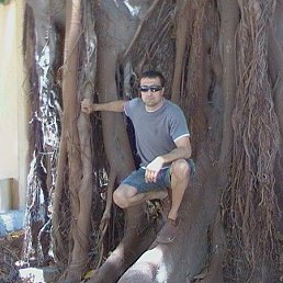 ���� �������, ��������, 47 ��� - ��������� 12 ���� 2013