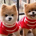 ���� Irina, ����, 53 ���� - ��������� 8 ����� 2012 � ������ �dekabrj�