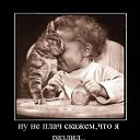 ���� ����, ������, 43 ���� - ��������� 11 ������ 2009