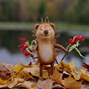 ���� ��e�, ������, 53 ���� - ��������� 15 ���� 2012
