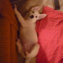  , , 61  -  7  2012    .....