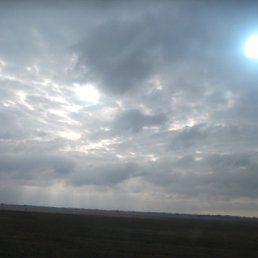 ���� �����, �������������, 43 ���� - ��������� 28 ����� 2012