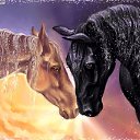 ���� "@����", �����-���������, 25 ��� - ��������� 26 ��� 2010 � ������ �������