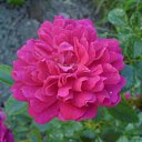  , -, 40  -  14  2011   