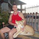  @, , 53  -  17  2013    