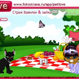 ���� ����, ������, 25 ��� - ��������� 10 ������� 2010