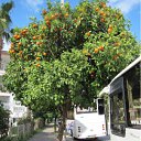 ���� �����, �����-���������, 54 ���� - ��������� 2 ������ 2011 � ������ ������� �������