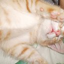 ���� �������, ������, 42 ���� - ��������� 27 ������� 2012 � ������ ���� ����������