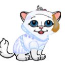 ���� ������-������� ��� ���� �����, ��������, 85 ��� - ��������� 6 ��� 2010 � ������ ��� �������