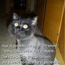 ���� ����, ����������� - ��������� 9 ������� 2010 � ������ ������� ���� �������)�