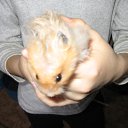 ���� �������, ���������, 59 ��� - ��������� 4 ������ 2011 � ������ ���� ����������