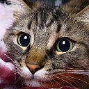 ���� ���������, ����������, 35 ��� - ��������� 12 ������ 2011 � ������ ������� ��������:)�