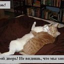 ���� ������, �������, 40 ��� - ��������� 13 ������� 2009 � ������ ����������� ��������, ������� ����������