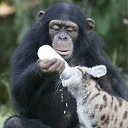 ������ ����� ������ ������� �� ������� ����������� :-)�