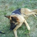 ���� J, ������ - ��������� 2 ������� 2011