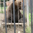 ���� Yuris, ������-���, 64 ���� - ��������� 15 ������� 2011 � ������ �������� 08.2011�