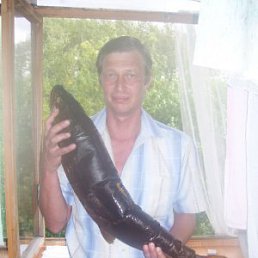 ������, ���������, 61 ���