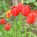 ���� �@�@�@, ������, 49 ��� - ��������� 9 ��� 2010 � ������ ������� ����� � ��.�