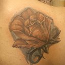 ���� �������, ��������, 44 ���� - ��������� 26 �������� 2012 � ������ �������