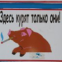 ��������� "���������" , ���� �� ������� ����� 2012�