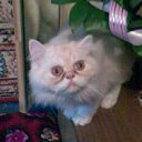 ���� ����, ���������, 50 ��� - ��������� 13 ������ 2012 � ������ ���� ����������