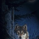 ���� �������, ������, 56 ��� - ��������� 25 �������� 2011 � ������ �������