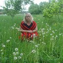 ���� ��������, ������, 38 ��� - ��������� 24 ���� 2013 � ������ ���� ����������