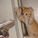 ���� Knoss, ������������, 26 ��� - ��������� 18 ������� 2009 � ������ �������� - �����������