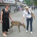 ���� �������, ����, 62 ���� - ��������� 23 ������ 2013 � ������ ���� ����������