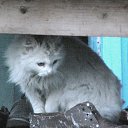 ���� �����, ����, 38 ��� - ��������� 6 ������ 2010 � ������ ���� ������� ����������