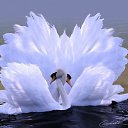 ���� Tatiana, ����, 43 ���� - ��������� 11 ���� 2013 � ������ ���� ����������