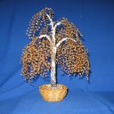 ���� ����, �����������, 63 ���� - ��������� 18 ������ 2010 � ������ ���� ���������