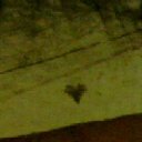 ���� ����, ����������, 55 ��� - ��������� 18 �������� 2011