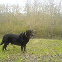 ���� ���, �����, 61 ��� - ��������� 20 ���� 2013 � ������ ���� ����������