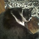 ���� ������� +4 ������, �����������, 49 ��� - ��������� 18 ��� 2012 � ������ ���� ����������