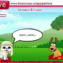  , , 53  -  22  2010   PetLove