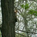  , , 41  -  15  2010   ~   @ ~