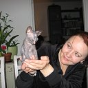 ���� ����, ������, 67 ��� - ��������� 8 ������� 2009 � ������ ������