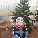 ���� ������, ������-��-����, 41 ��� - ��������� 6 ������ 2013 � ������ ����������