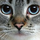 ���� 333, ���������, 31 ��� - ��������� 5 ���� 2013 � ������ ���� ����������