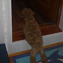 ���� �����, ������, 32 ���� - ��������� 31 ������� 2009 � ������ �������� "�������� �������"�