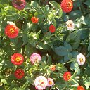 ���� ����, ���������� �����, 59 ��� - ��������� 30 ������ 2012 � ������ ���� ����������