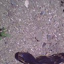 ���� ��������, �����, 31 ��� - ��������� 9 ���� 2012 � ������ ���� ����������