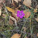  , -, 42  -  31  2011   