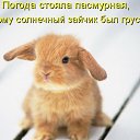 ���� ����, ������, 42 ���� - ��������� 15 ������� 2012 � ������ ���� ����������