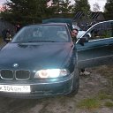 ���� �����, �����-���������, 43 ���� - ��������� 8 ������� 2011 � ������ ���� ����������