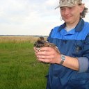 ���� �����(������� �������� � Ѹ��������), �������-���������, 46 ��� - ��������� 7 �������� 2011