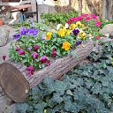 ���� �������, ��������-��-������, 68 ��� - ��������� 9 ������ 2013 � ������ ������ ��������